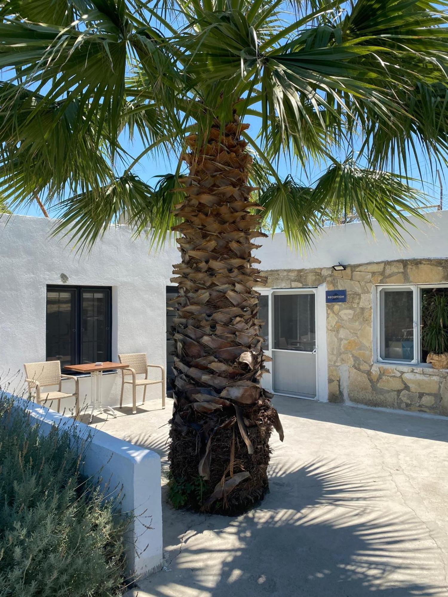 Erdem Ciftligi/ Ephesus Arena Apartment Селчук Екстериор снимка